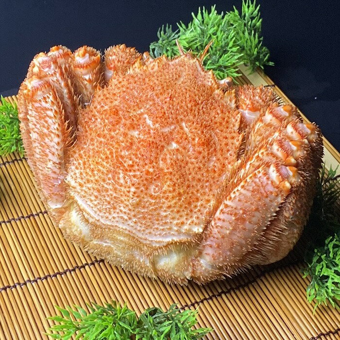 【ふるさと納税】【12月21日決済確定分まで年内配送】毛がに800g前後×4尾 E-21003