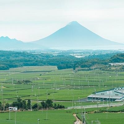 ふるさと納税 南九州市 かわいいパッケージの高級知覧茶2本ギフト |  | 03