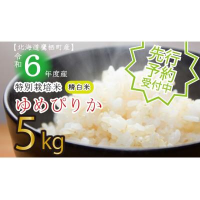 ふるさと納税 鷹栖町 先行予約 令和7年産 たかすタロファームゆめぴりか【精白米】10kg(5kg×2) SA116