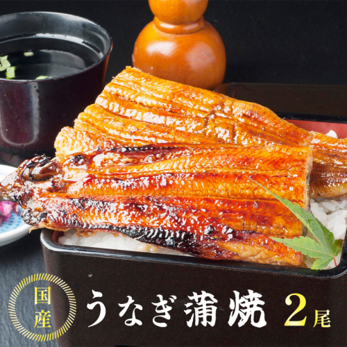 国産 うなぎ 蒲焼 2尾 特製ダレ付 冷凍 有頭 鰻 うなぎ蒲焼 調理済 ウナギ たれ付き 簡単 お取り寄せ グルメ 国産鰻 養殖
