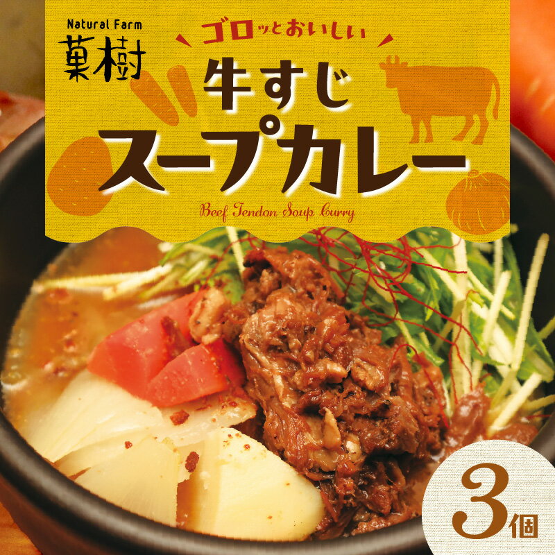 【ふるさと納税】【ナチュラルファーム菓樹】牛すじスープカレー 3個セット