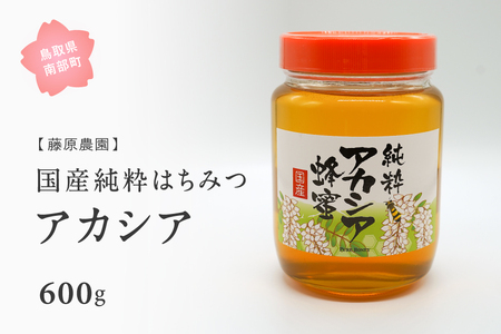 里地・里山のめぐみ 純粋ハチミツ（アカシア） 600g ＜数量限定＞