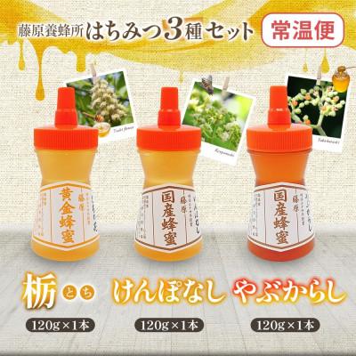 ふるさと納税 盛岡市 藤原国産蜂蜜 3種セット 計360g 完熟 単花蜜 藤原養蜂場 岩手県盛岡市 |  | 03