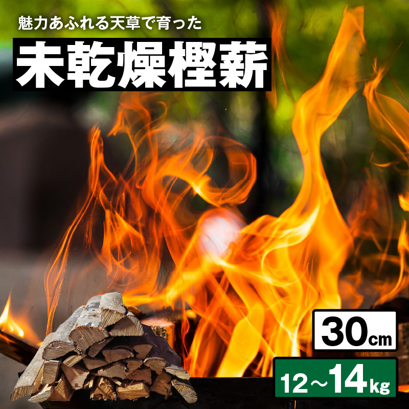 S163-010_魅力あふれる天草で育った未乾燥樫薪（天樫　長さ30cm　12～14kg） 長さ30cm　12～14kg