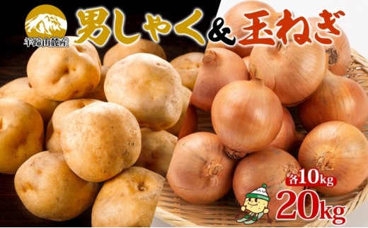 
                  北海道産じゃがいも 男爵 玉ねぎ Lサイズ 各約10kg ジャガイモ 男爵いも 馬鈴薯 ポテトタマネギ 玉葱 常備野菜 根菜 産直 国産 JAようてい 送料無料 北海道北海道のジャガイモ 食品 
                