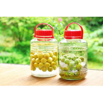 ふるさと納税 安中市 旬をお届け!青梅【Mサイズ(5kg)】 |  | 03