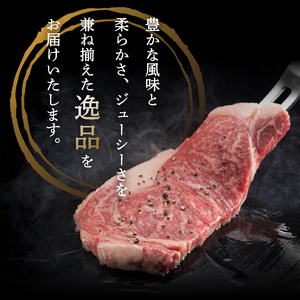 富士山麓牛　ロース薄切り＆サーロインステーキセット