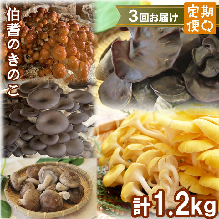 【ふるさと納税】【3回定期便】オーガニックきのこ 5種 定期便　TH01