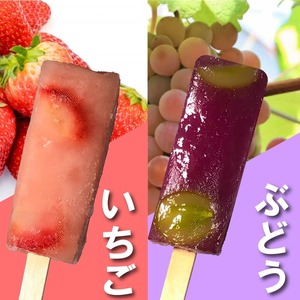 くずバー 12本 (5種類×2本＋ブルーベリー1本＋おまかせ1本) 冷凍 アイス スイーツ フルーツ くずバー 果物 和菓子 お菓子 デザート おやつ くずバー南知多町 くずバー いちご レモン くず