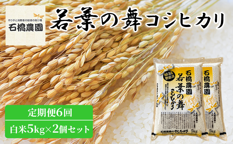 米 若葉の舞 コシヒカリ 白米5kg×2個セット 定期便6回 こしひかり セット 定期便 お米 白米 精米 千葉 千葉県 低温保存