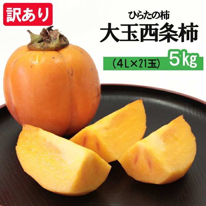 【ふるさと納税】島根県 出雲市産【訳あり】ひらたの柿 大玉 西条柿（渋抜き済）4L 21玉 5kg 自宅用 家庭用 柿 特産