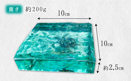 【限定30品】アートブロック エメラルドグリーンの海とカメ スケルトン インテリア＜Studio KAI by?M村裕二/ Yuji hamamura＞ [CDH018]