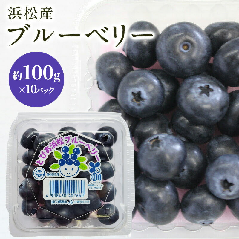 【ふるさと納税】【浜松市産】ブルーベリー 約100g×10パック 計約1kg 甘酸っぱい アントシアニン 食物繊維 ビタミン ミネラル 抗酸化作用 腸内環境改善 美容 美肌 健康 静岡県 浜松市　お届け：2026年3月1日～2026年7月31日まで