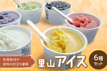 里山アイスセット（6種セット） 詰め合わせ ギフト 母の日 お中元 ご褒美 取り寄せ 贈り物 アイスギフト 冷菓 ひんやりグルメ 少額 お手頃 お菓子 デザート 【015_1471】
