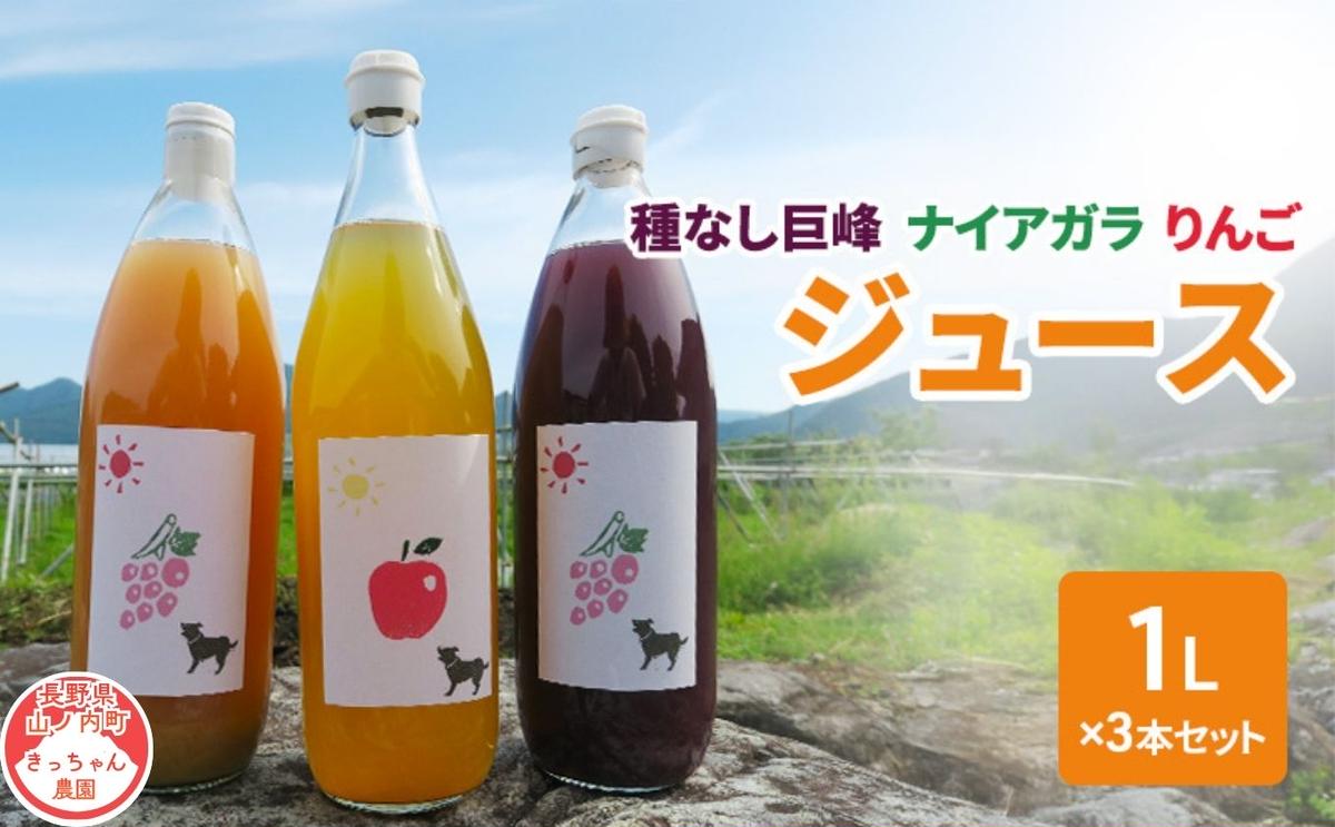 種無し巨峰 ナイアガラ りんごジュース1L×3本セット フルーツ 長野県