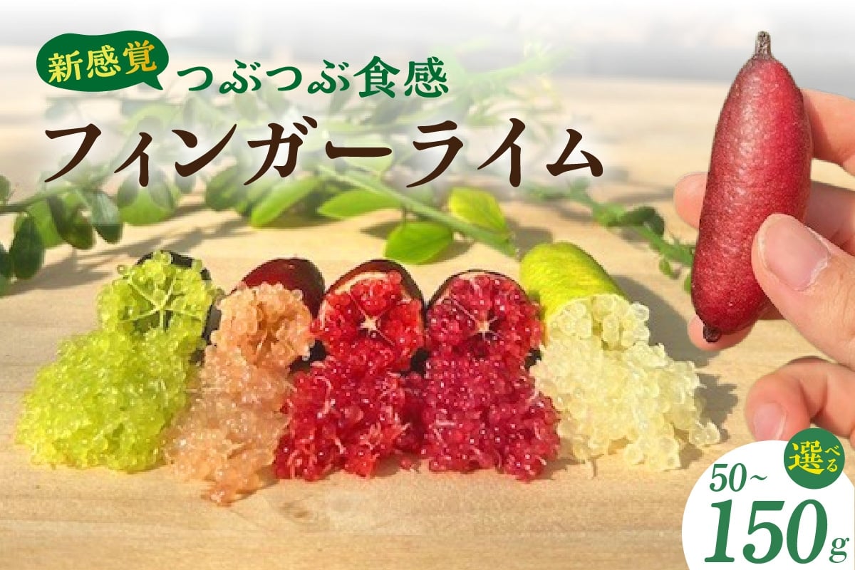 
                  新感覚つぶつぶ食感！フィンガーライム　選べる容量50g～150g フルーツ 果物 国産 柑橘 フルーツキャビア 森のキャビア デザート 希少 鈴園 愛知県 常滑市
                