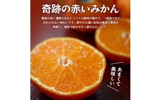 旬のフルーツ 定期便 3回 Fコース 果物 フルーツ 小原紅早生みかん みかん デコポン 不知火 柑橘 蜜柑 ゴールドキウイ さぬきゴールド キウイ キウイフルーツ   スイーツ デザート ケーキ ゼ