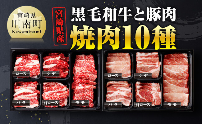 
宮崎県産 黒毛和牛 と 豚肉 焼肉 10種 【 肉 牛 牛肉 豚肉 豚 ぶた肉 国産 黒毛和牛 BBQ 焼肉 ロース カタロース バラ モモ ウデ 】
