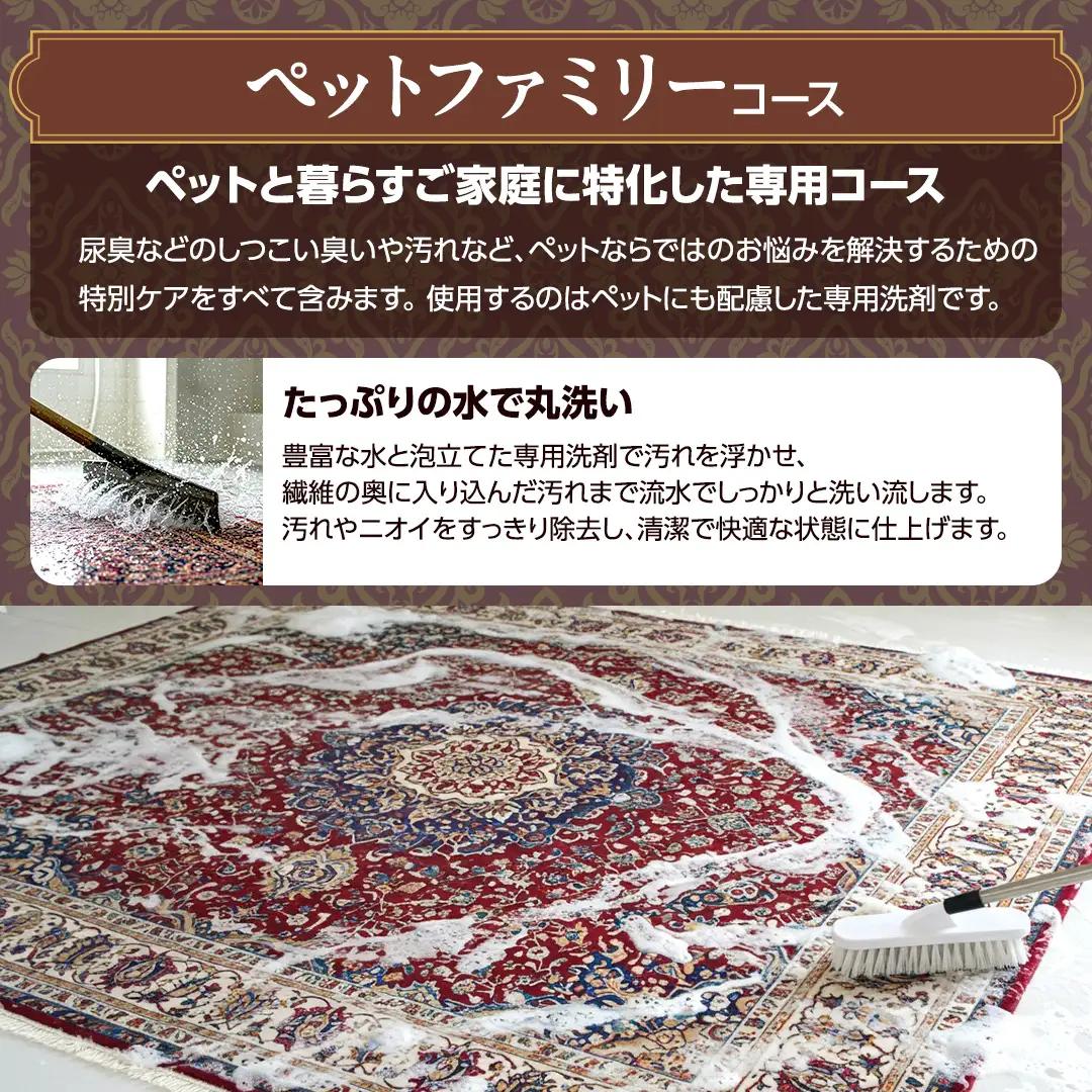 宅配 絨毯 クリーニング チケット │ ペットファミリーコース（2平米以内）約100cm×200cm