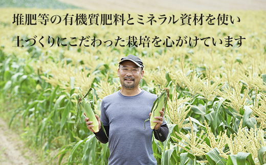 【先行予約】北海道 とうもろこし（白）8本 ホワイトコーン 令和8年産 おおとり
