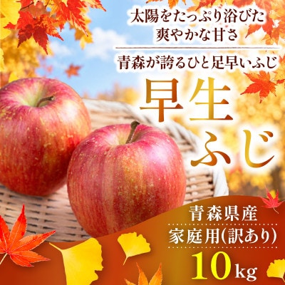【26年10月より順次発送】平均糖度13度以上! 早生ふじ 約10kg 訳あり 青森りんご【配送不可地域：沖縄県】