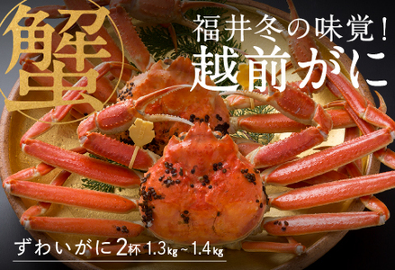 【産地直送】福井冬の味覚！越前がに（1.3～1.4kg）× 2杯