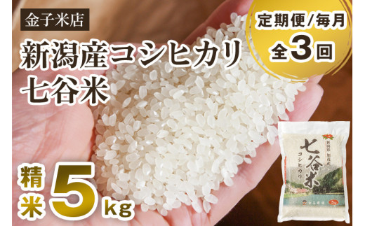 【令和7年産】【定期便3回毎月お届け】老舗米穀店が厳選 新潟県加茂市産コシヒカリ「七谷米」精米5kg 〈順次出荷〉 従来品種 白米 窒素ガス充填パックで鮮度長持ち 金子米店 定期便