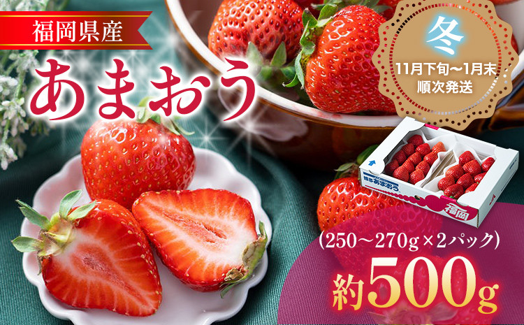 
あまおう 福岡産【冬】あまおう 2パック 合計約500g～540g （1パックあたり約250g～約270g） いちご 苺 果物 フルーツ 九州産 福岡県産 冷蔵 送料無料【11月下旬発送開始予定】
