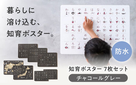 知育 知育ポスターチャコールグレー 7枚セット 日本地図 世界地図 知育 教育 BJBA002