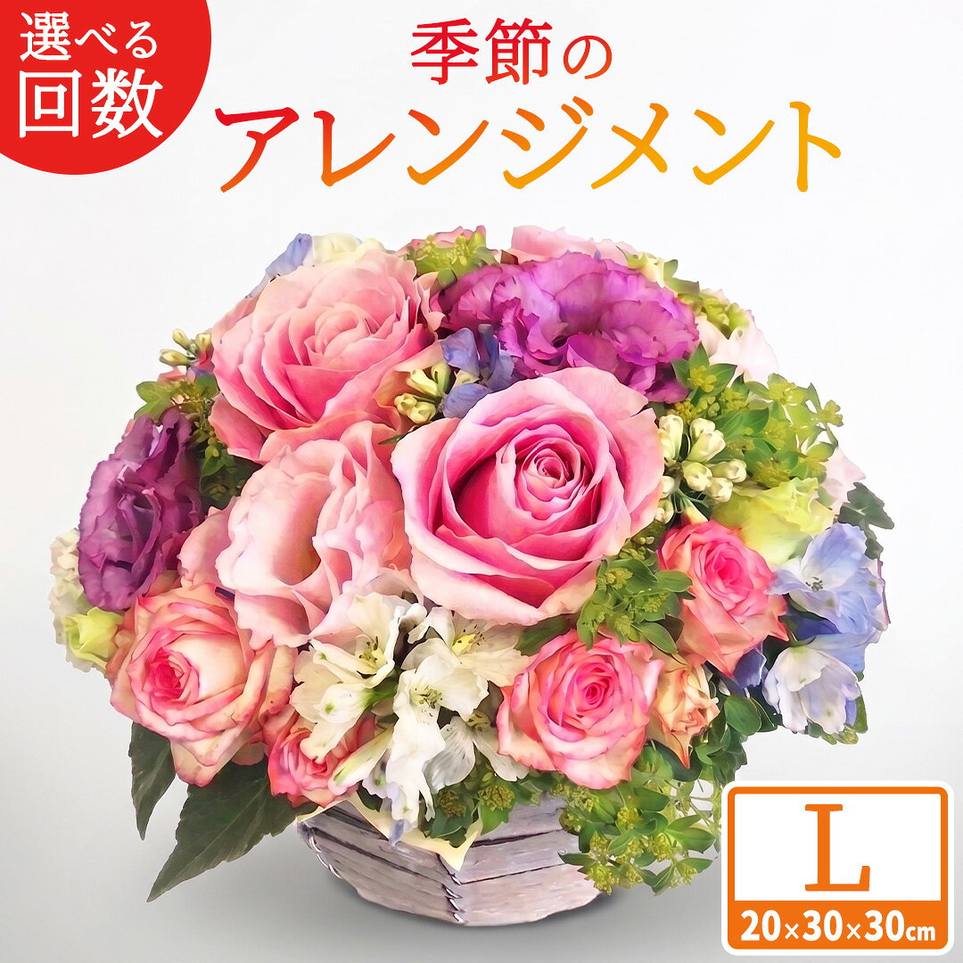 【ふるさと納税】【 選べる お届け 回数 】季節 の フラワー アレンジメント ＜ L ＞ 花 お花 季節の花 生花 3ヵ月 6ヶ月 12ヶ月 定期便　記念日 誕生日 自宅用 インテリア 部屋飾り 装飾 贈答 ギフトプレゼント おしゃれ 茨城県 城里町