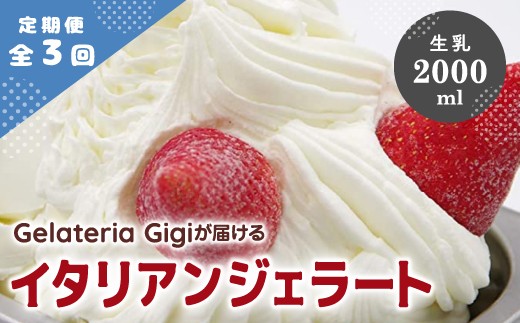 
                  【定期便3回】 ジェラテリアGigi イタリアンジェラート 生乳 2000ml ジェラート ミルク アイス gigi 業務用 2L スイーツ お取り寄せ グルメ 定期便 3回 ふるさと納税 北海道 恵庭市 恵庭【43004603】
                