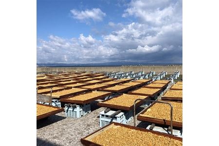 青森むつ湾産ほたて干貝柱・白干　詰め合わせ　各150g_A2-174【1132704】