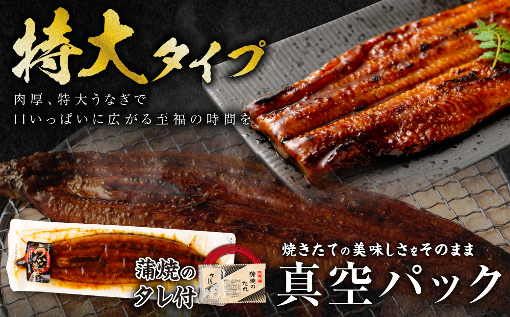 BSR-325鹿児島県産 特大サイズ うなぎ蒲焼 3尾