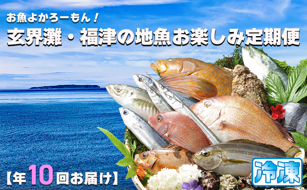 【年10回】お魚よかろうもん！玄界灘・福津の地魚お楽しみ定期便【冷凍】【随時開始】[H7014]