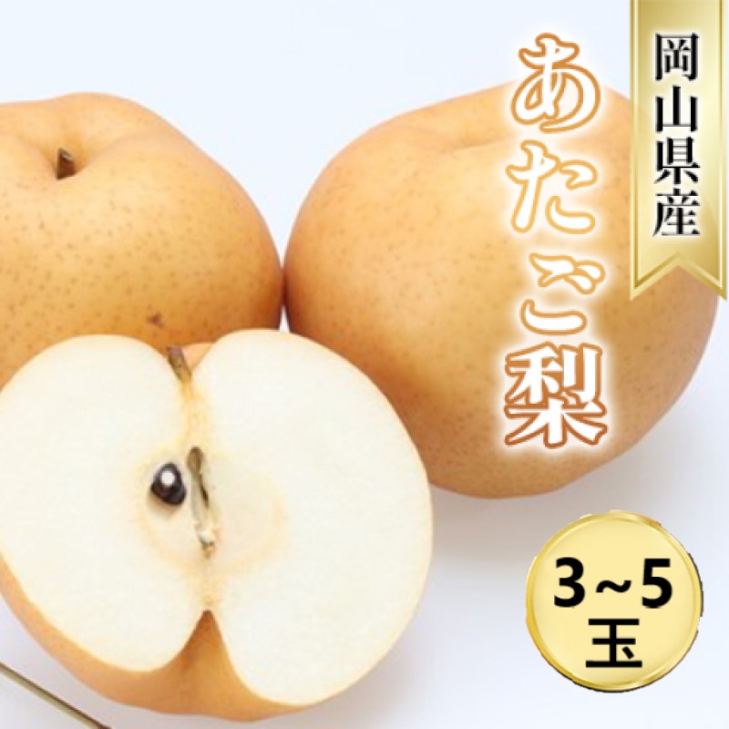 【ふるさと納税】なし【2025年 先行予約】 梨 あたご梨 (3～5玉) 岡山県産 国産 フルーツ 果物 ギフト　お届け：2025年11月上旬～2025年11月下旬