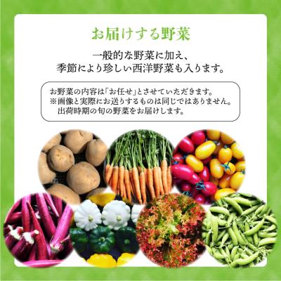 ふるさと納税 糸島市 栽培期間中農薬不使用!お米2kg & 野菜5品のセット オーガニックナガミツファーム[AGE035] |  | 02
