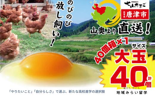 
            七山たまご40個箱×1(大玉)
          