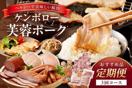 【DLGコンテスト2024金賞受賞】【3か月定期便】ケンボロー芙蓉ポーク おすすめ品3回コース 定期便 3回 豚肉 加工品 ハム ベーコン ウインナー 焼肉 BBQ バーベキュー 島根ポーク 真空パッ
