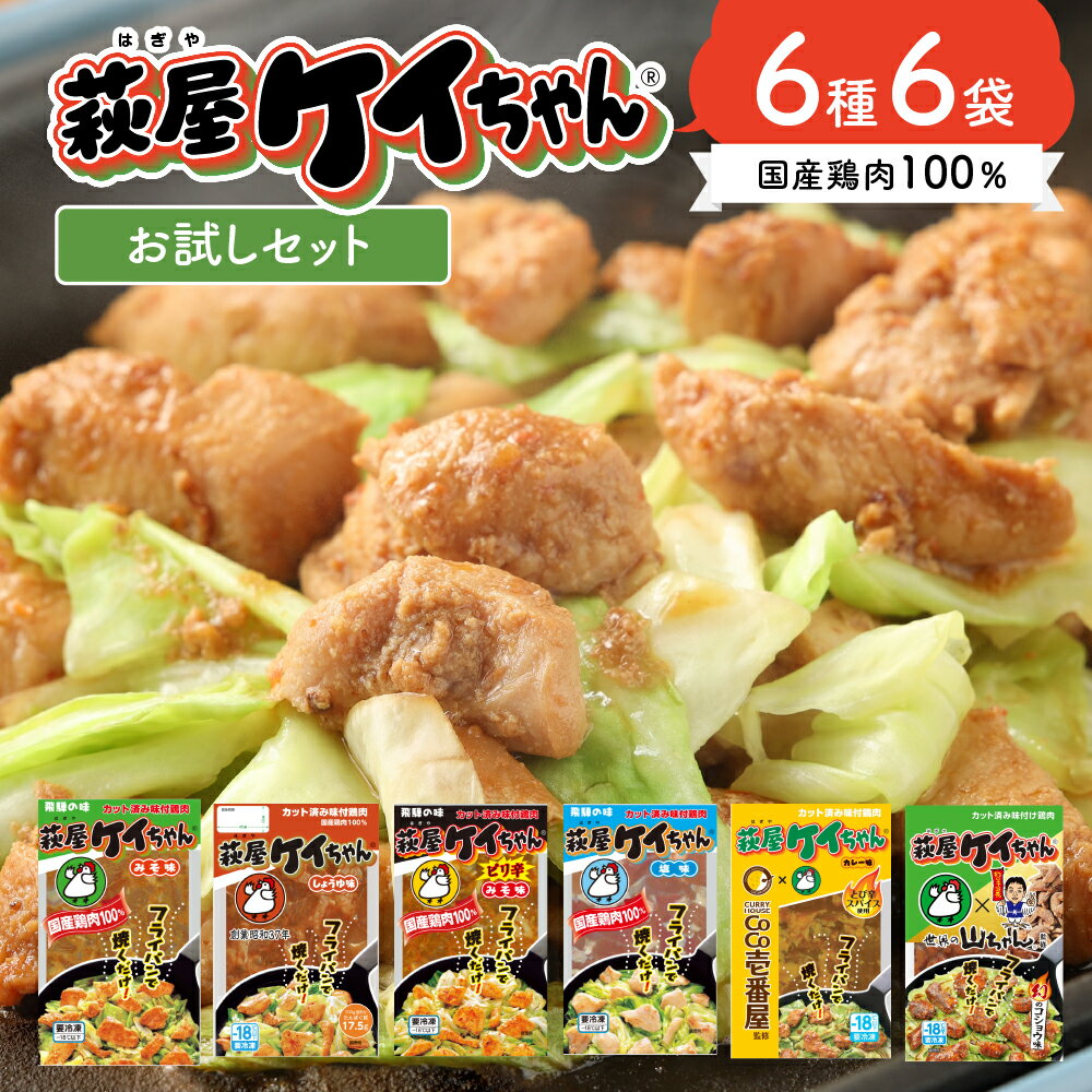 【ふるさと納税】萩屋ケイちゃん 6種類お試しセット　みそ味・しょうゆ味・しお味・ピリ辛みそ味・カレー味・幻のコショウ味（各230g×1）計6パック 冷凍配送　萩原チキンセンター 贈り物 ギフト 下呂 下呂市 下呂温泉 味付け 焼くだけ 鶏肉料理 おかず 萩原チキン 9000円