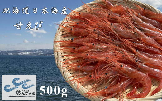 8-011-006　冷凍甘えび 500g（約40尾）