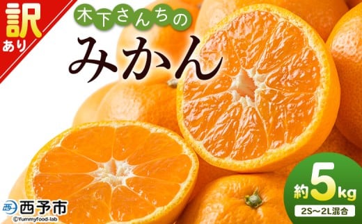 ＜木下さんちのみかん 訳あり 約5kg（2S～2Lサイズ混合）＞ 選べる わけあり 家庭用 柑橘 温州みかん うんしゅうみかん ミカン 蜜柑 果物 くだもの フルーツ 国産 特産品 木下農園 愛媛県 西予市【常温】『2025年11月中旬～2026年1月中旬迄に順次出荷予定』