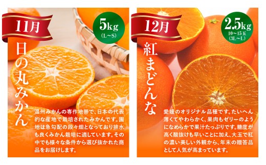 【愛媛県共通返礼品】【定期便】愛媛の柑橘定期便（全6回）（日の丸みかん・紅まどんな・いよかん・デコポン・せとか・河内晩柑） ※2026年11月～2027年4月に毎月1回発送予定 【 ふるさと納税 人気