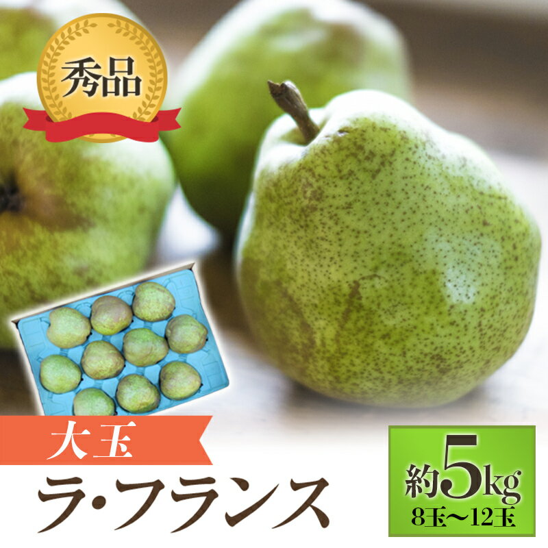 【ふるさと納税】【令和7年産先行予約】 JA 大玉 ラ・フランス 約5kg ( 8～12玉 秀) 《令和7年11月上旬～12月上旬発送》 『JA山形おきたま』 洋梨 果物 フルーツ 山形県 南陽市 [718-R7]