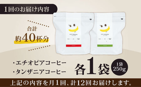【12回定期便】【豆のまま】自家焙煎 スペシャルティコーヒー 豆 （ 250g × 2種 ）約40杯分【かきやま果実】コーヒー豆定期 コーヒー豆定期便 スペシャルティコーヒー豆 コーヒー 自家焙煎コー