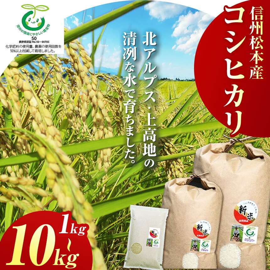 【ふるさと納税】【選べる容量 信州松本産コシヒカリ 1kg or 5kg or 10kg｜ ふるさと納税 松本市 長野県 松本市 コシヒカリ 米 コメ 白米 精米 ごはん 贈り物 風味