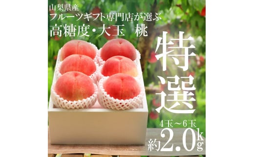 ＜2025年発送分先行予約＞山梨県南アルプス市産　高糖度　特選大玉桃　【約2ｋｇ　4～6玉】 ALPAH023