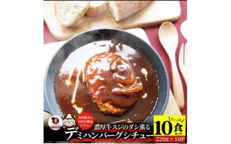 ハンバーグデミシチュー　220g×10食セット　(総重量2.2kg)_mk146-155