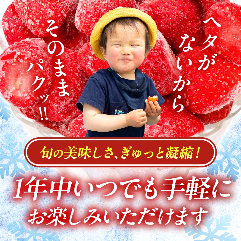 ≪訳あり≫都農町産「冷凍いちご(やよいひめ）」計1kg_T059-003【フルーツ 果物 デザート イチゴ 国産 人気 ギフト 食品 旬 苺 スムージー 果実 贈り物 送料無料 プレゼント】
