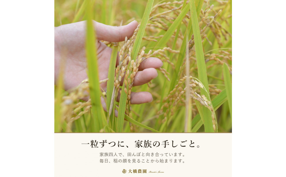 令和8年　玄米ヒノヒカリ9kg