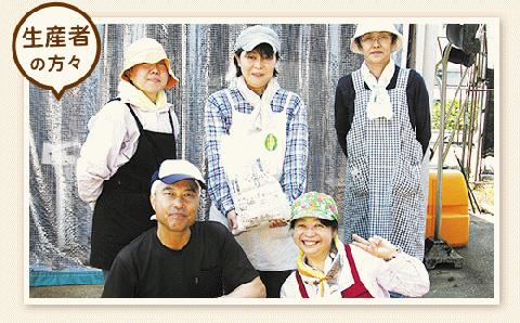 E1-31A新潟県長岡産コシヒカリ【玄米】パックご飯 150g×40個